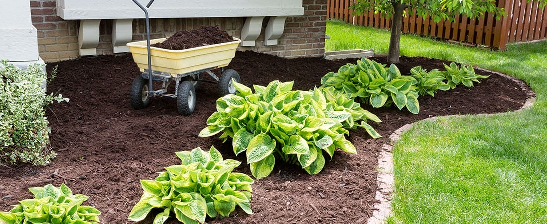 South Holland IL IL Mulch