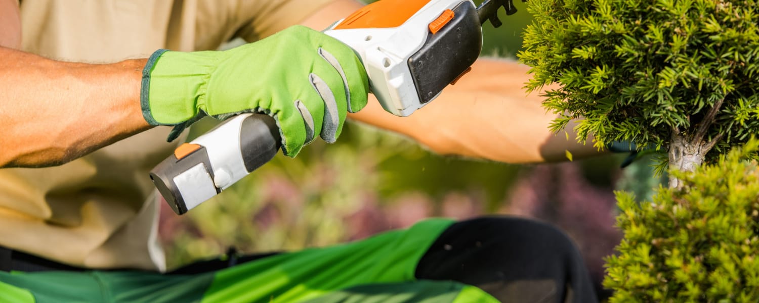 Landscaping East Chicago IN