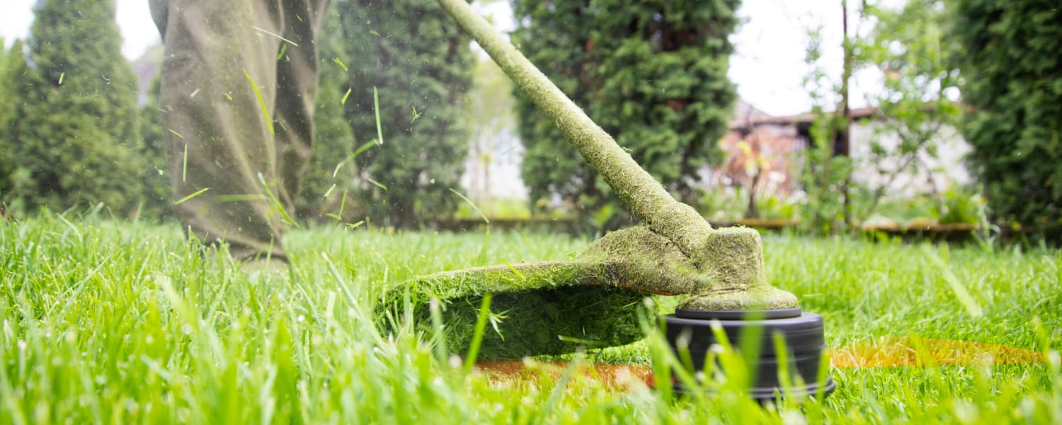 Landscaping Munster IN