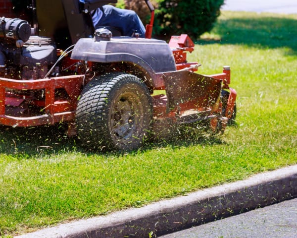 Lawn Maintenance